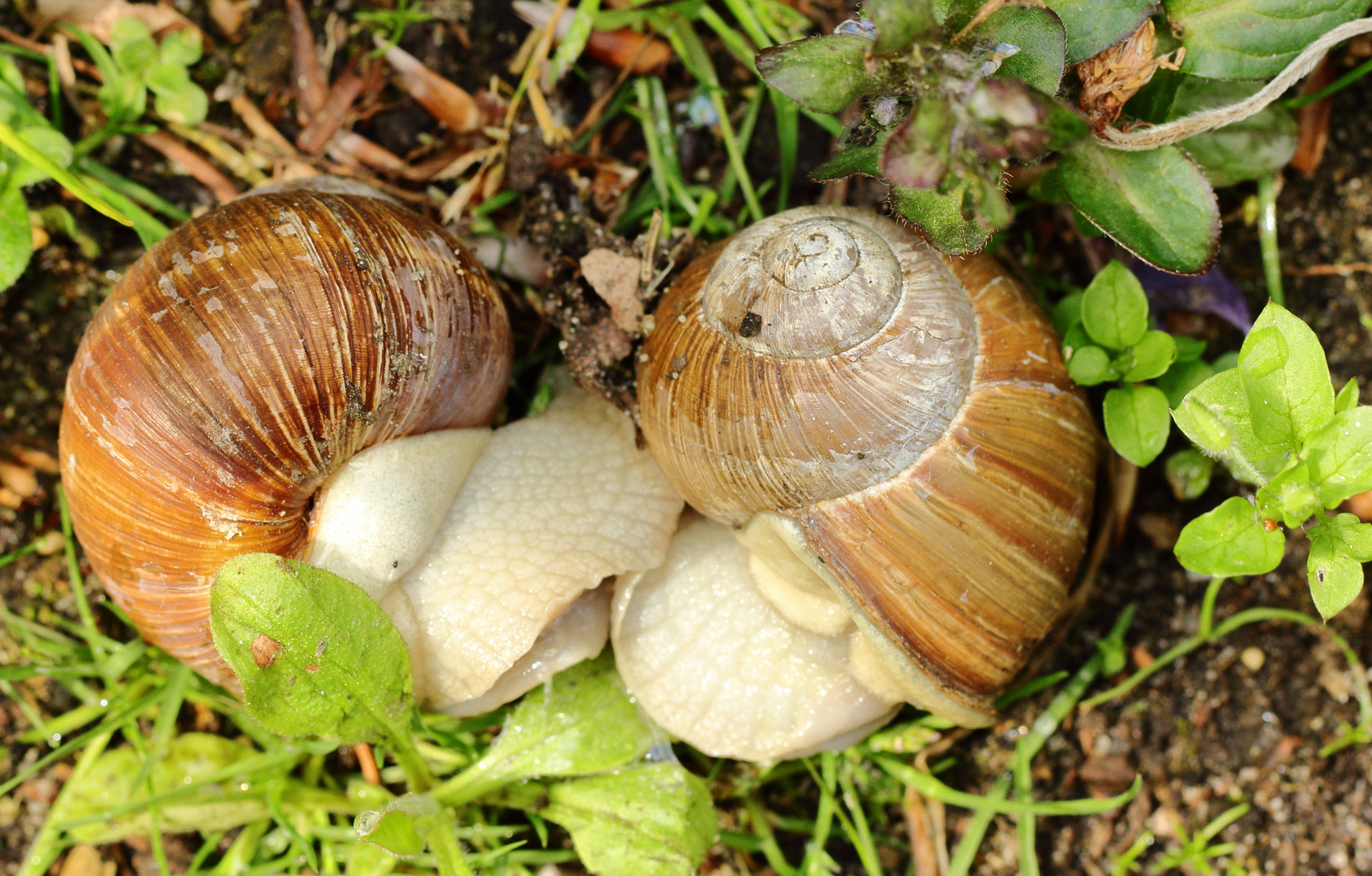 Kuschelzeit