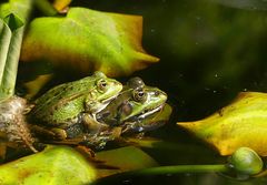 Kuschelzeit
