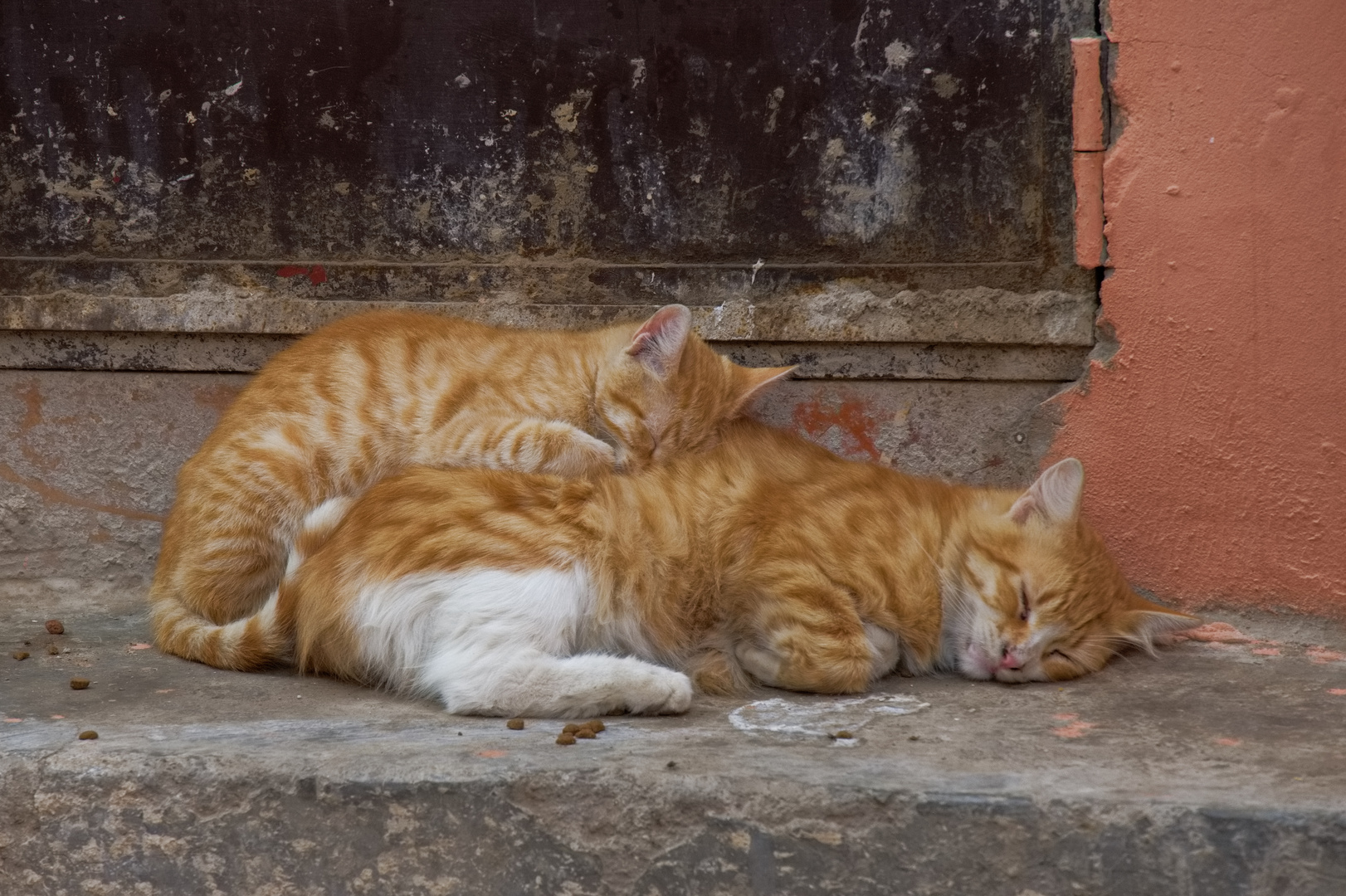 Kuschelzeit!