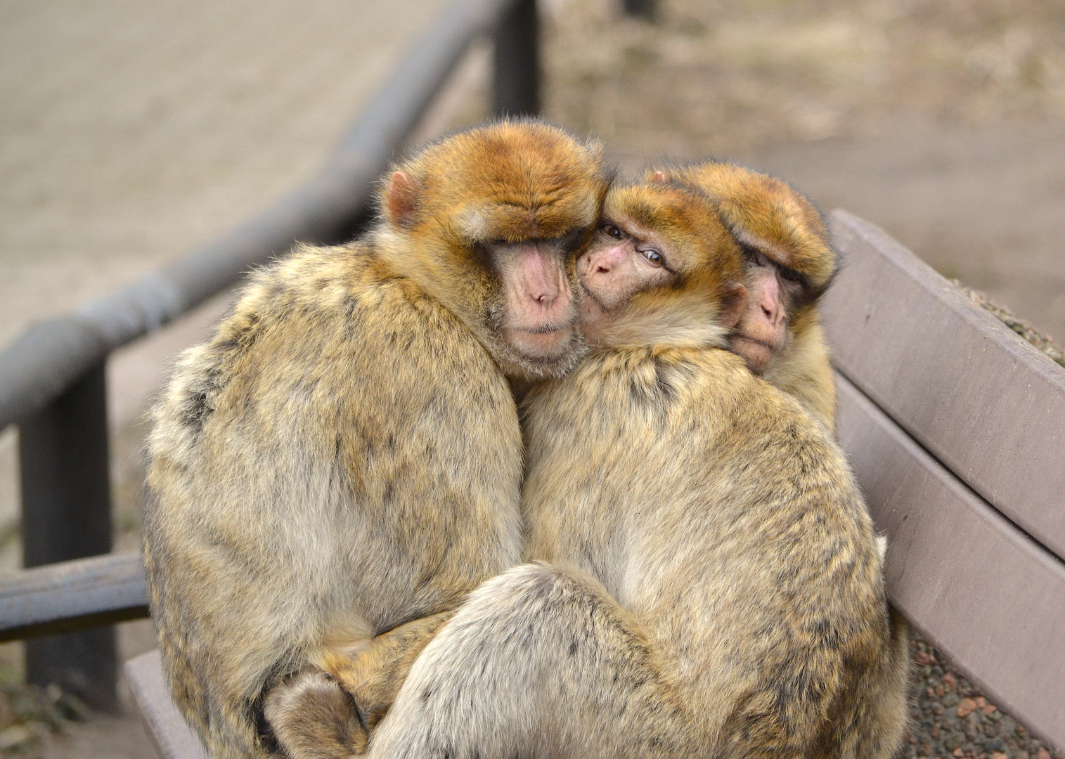 Kuschelzeit