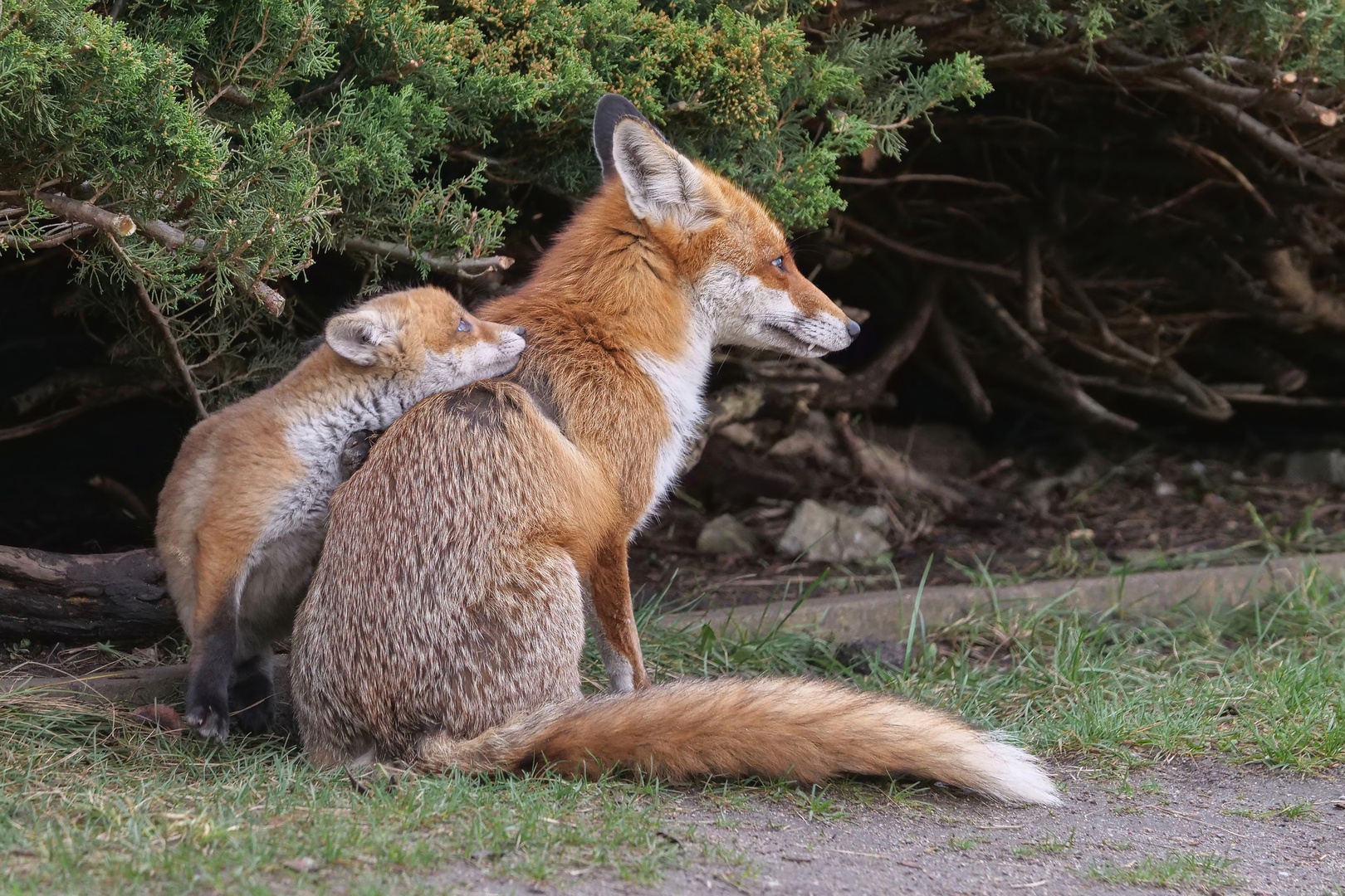 Kuschelzeit