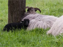 Kuschelzeit