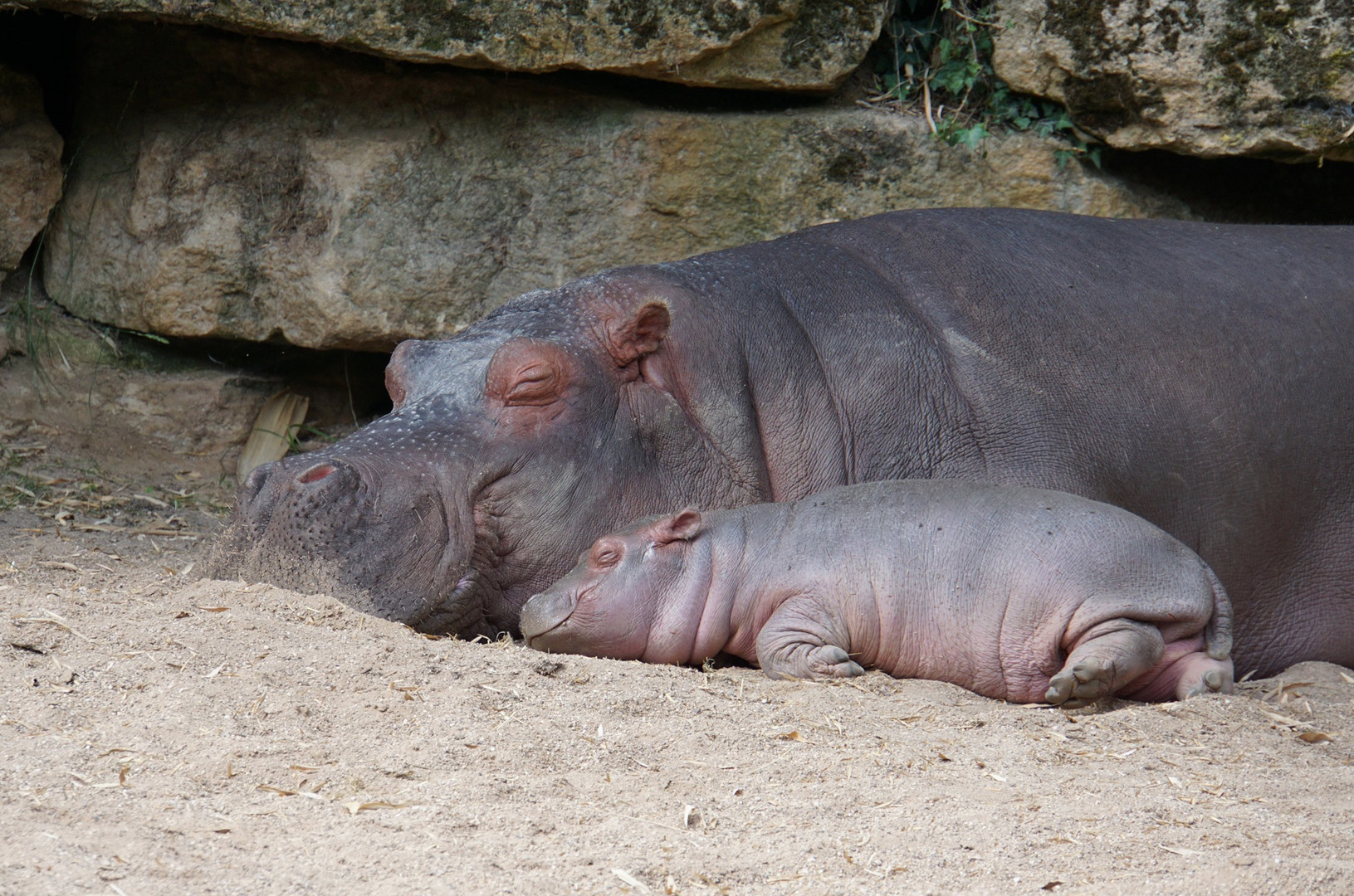 kuschelzeit