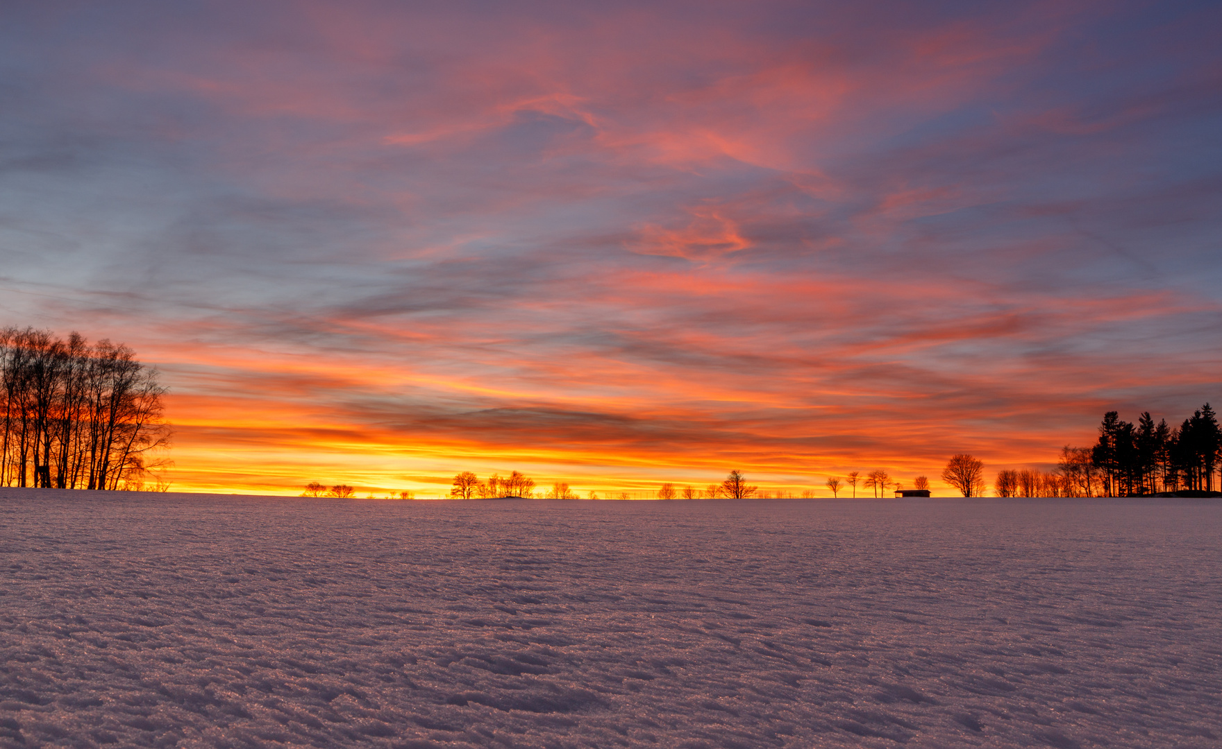 Kuschlig mild auf dem Schnee