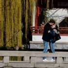 Kuss im Japanischen Garten