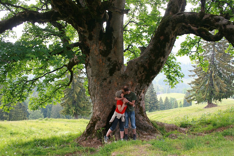 Kuss in den Bergen