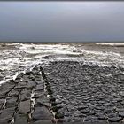 Kustbescherming aan de Nederlandse kust