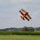 Kustflug in Bodennähe!