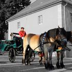 Kutsche beim Rossmarkt in Worbis