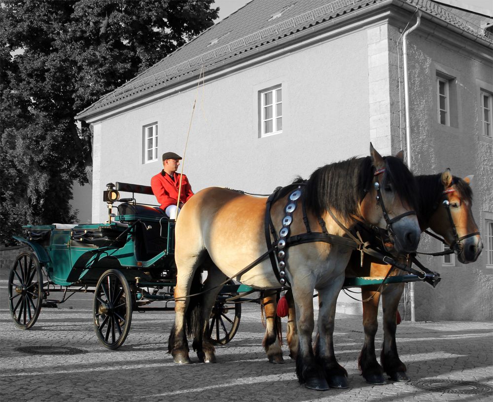 Kutsche beim Rossmarkt in Worbis