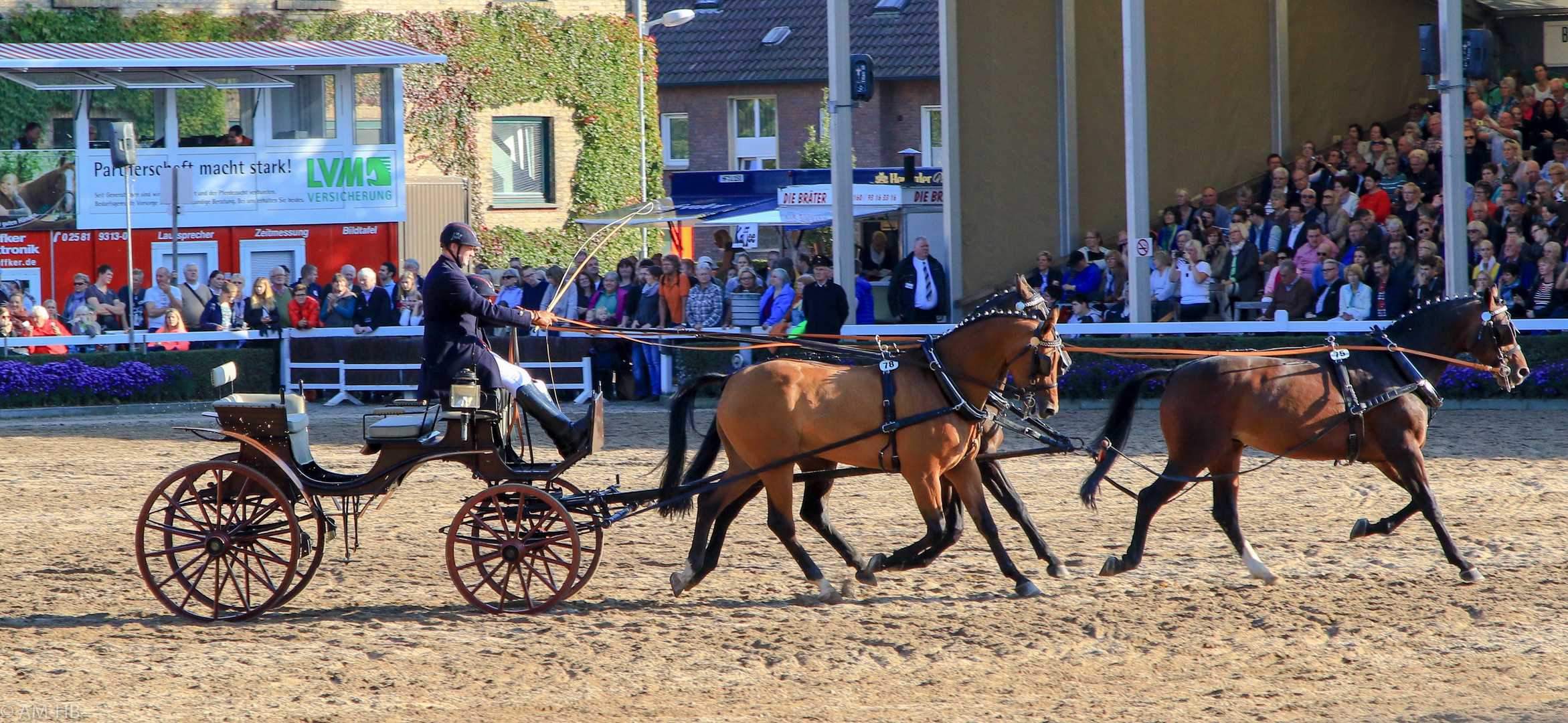 Kutsche im Gleichschritt