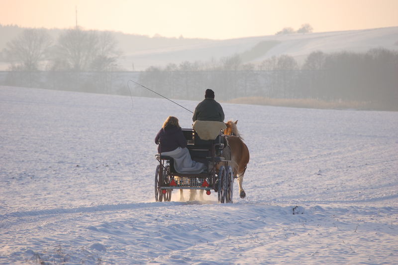 Kutsche im Schnee