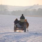 Kutsche im Schnee