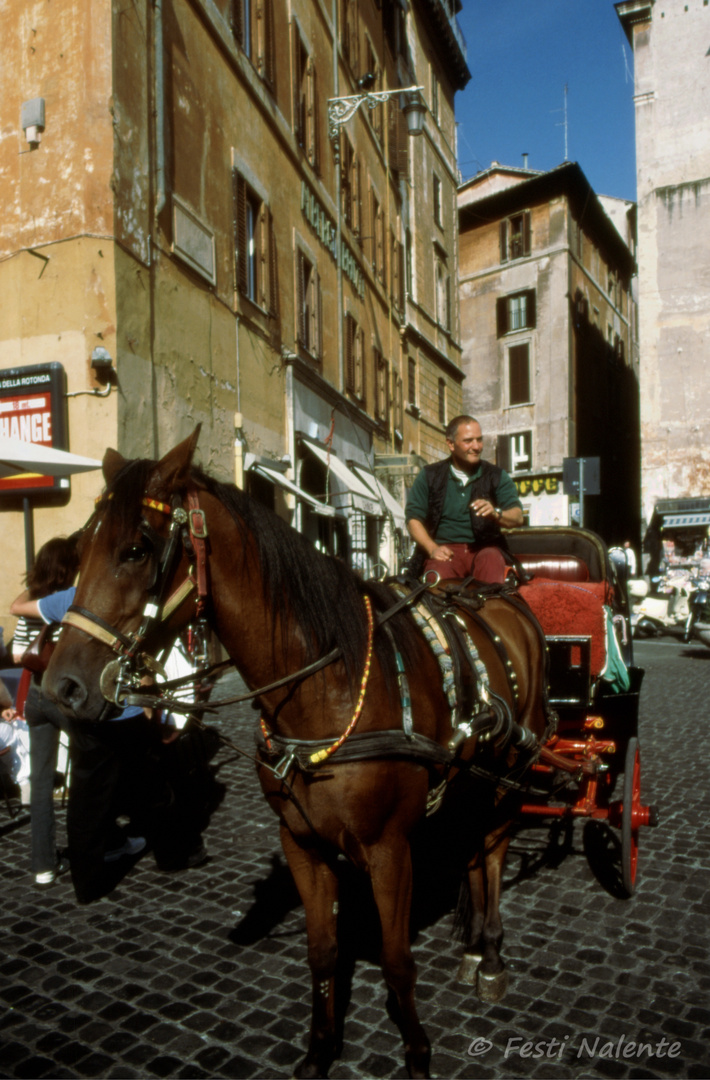 Kutsche in der Altstadt von Rom