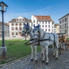 Kutsche in der Altstadt von St.Gallen