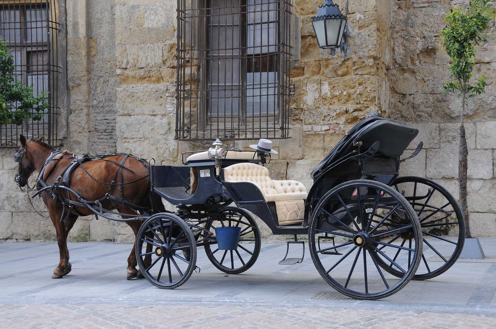 Kutsche in Ronda, Andalusien Foto & Bild | autos & zweiräder, oldtimer