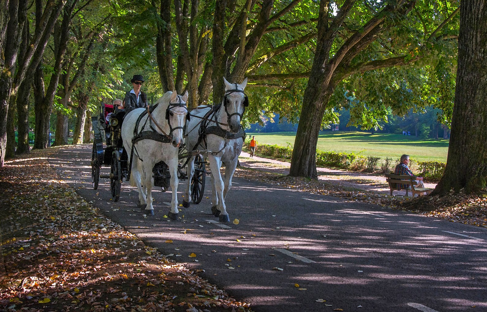 Kutsche Lichtentaler Allee Foto & Bild | deutschland, europe, baden