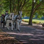 Kutsche Lichtentaler Allee