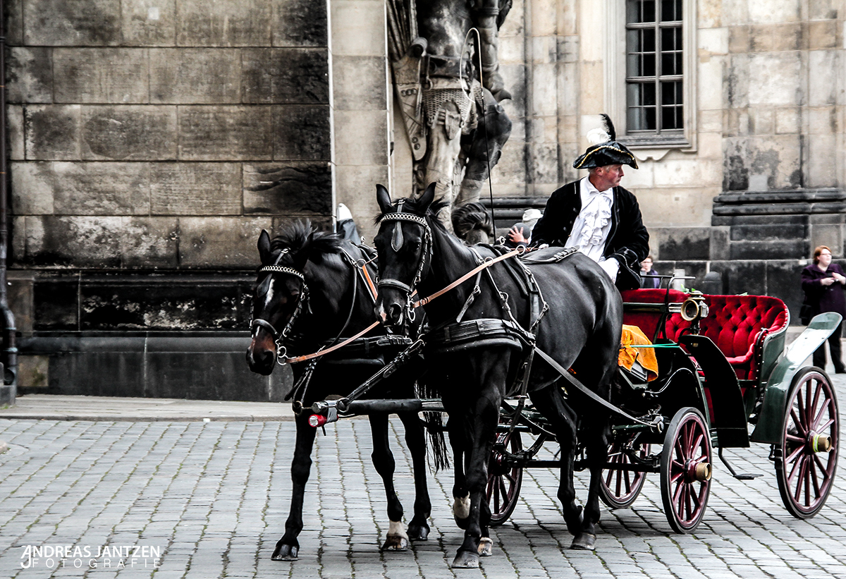 Kutsche vor der Frauenkirche in Dresden