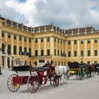 Kutsche vor Schönbrunn