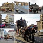 Kutschen in Dresden