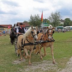 Kutschen-Quadrille -7-