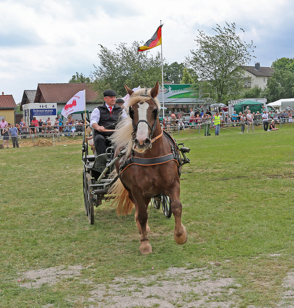 Kutschen-Quadrille -8-