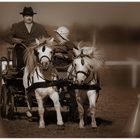 Kutschenfahrer-Treffen auf Schloss Hof