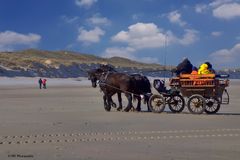 Kutschenfahrt am Strand von Norderney