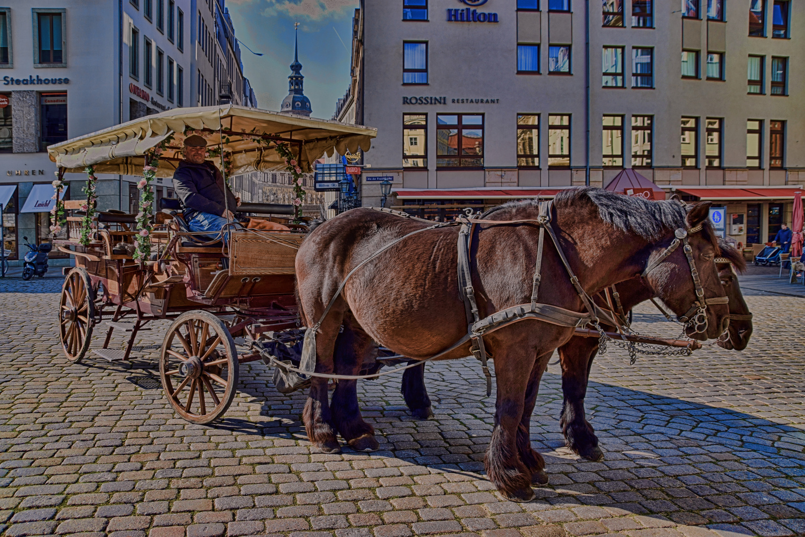 Kutschenfahrt in Dresden