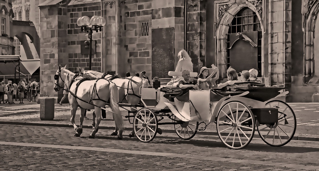 Kutschenfahrt in Dresden 