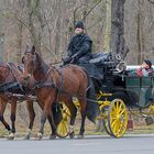 Kutschenfahrt über die Allee