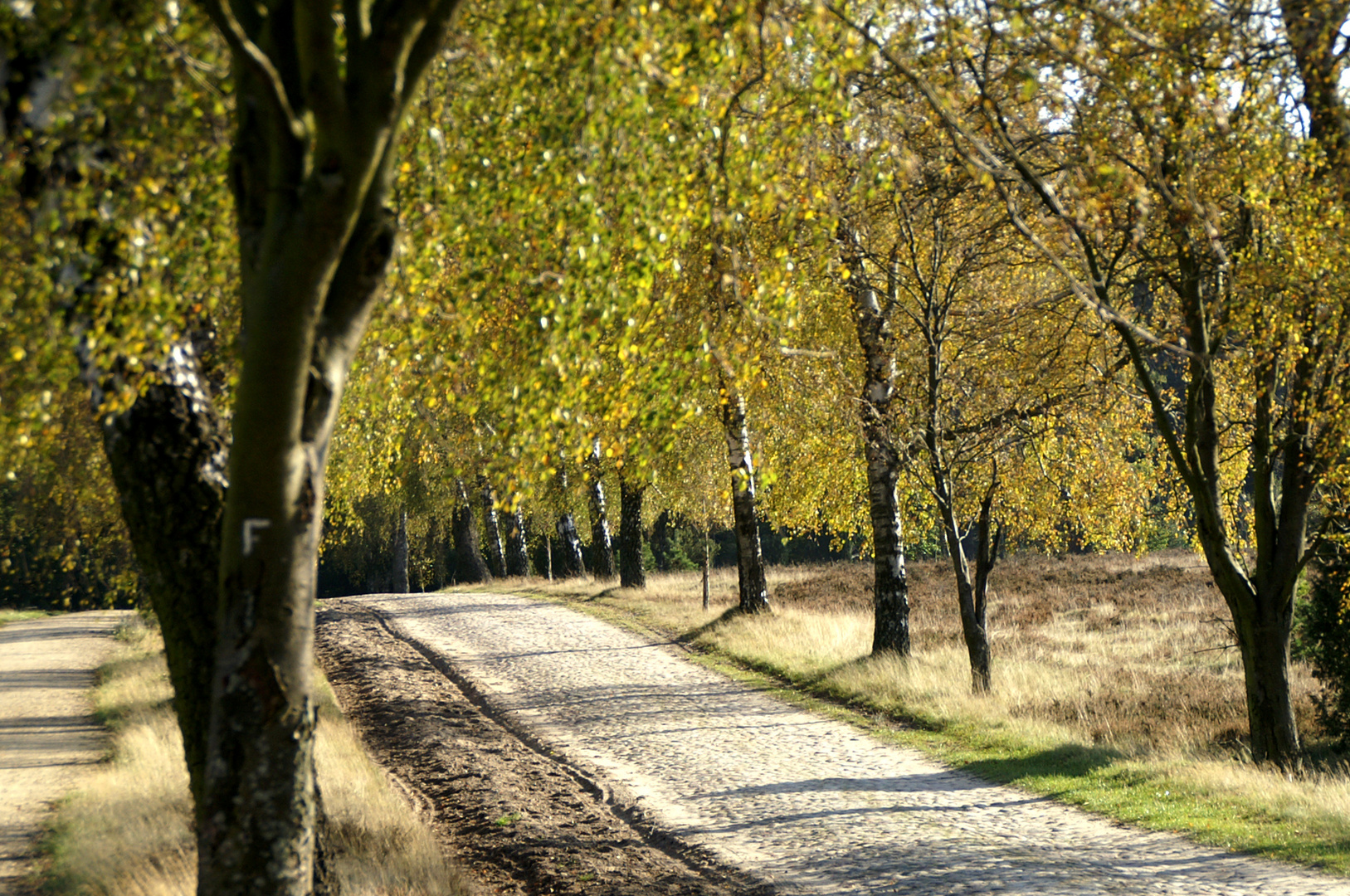 Kutschenstraße nach Wilsede