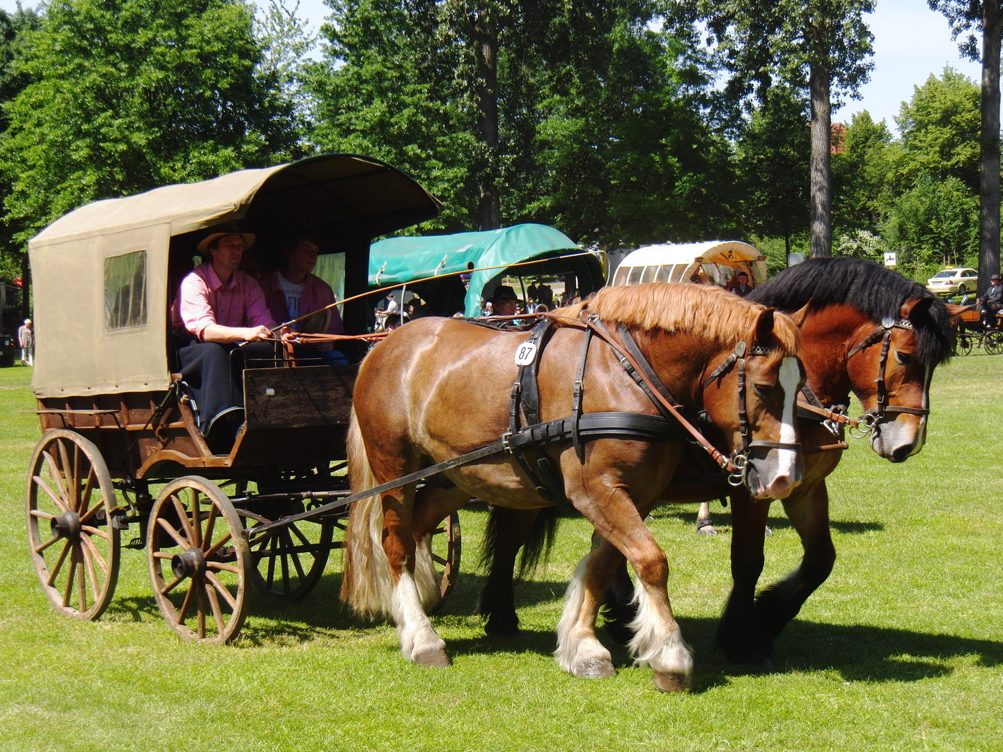 Kutschenwallfahrt Telgte 2011