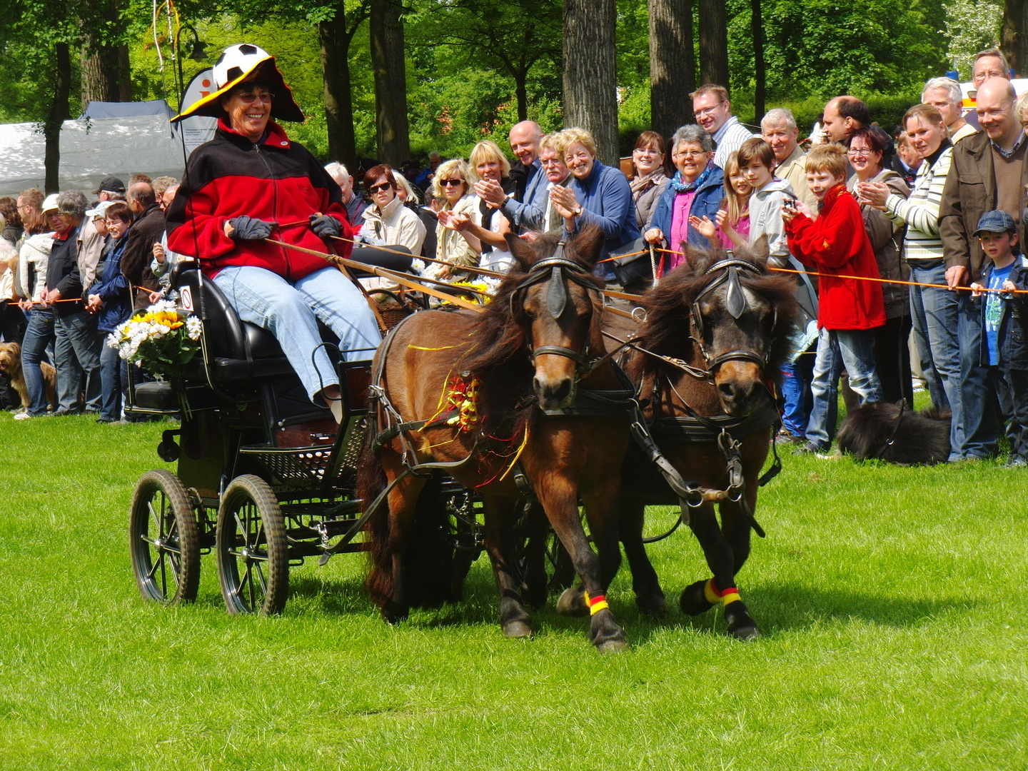 Kutschenwallfahrt Telgte 2012