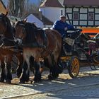 Kutscher in Moritzburg