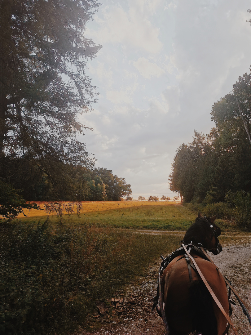 Kutschfahrt am Abend