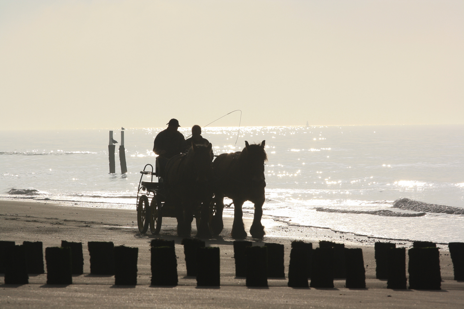 Kutschfahrt am Meer