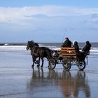 Kutschfahrt am Strand