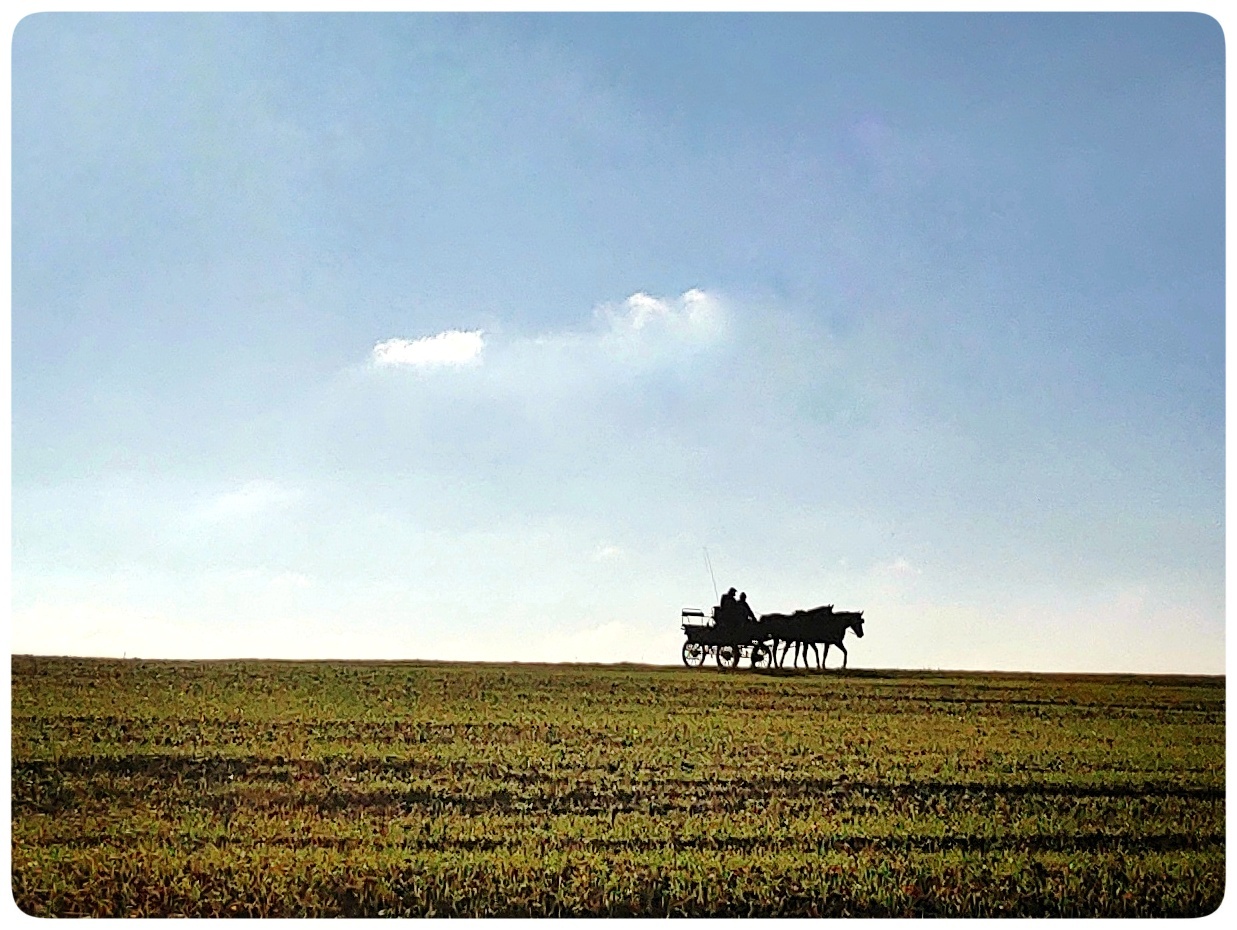 Kutschfahrt auf der Niederen Alb