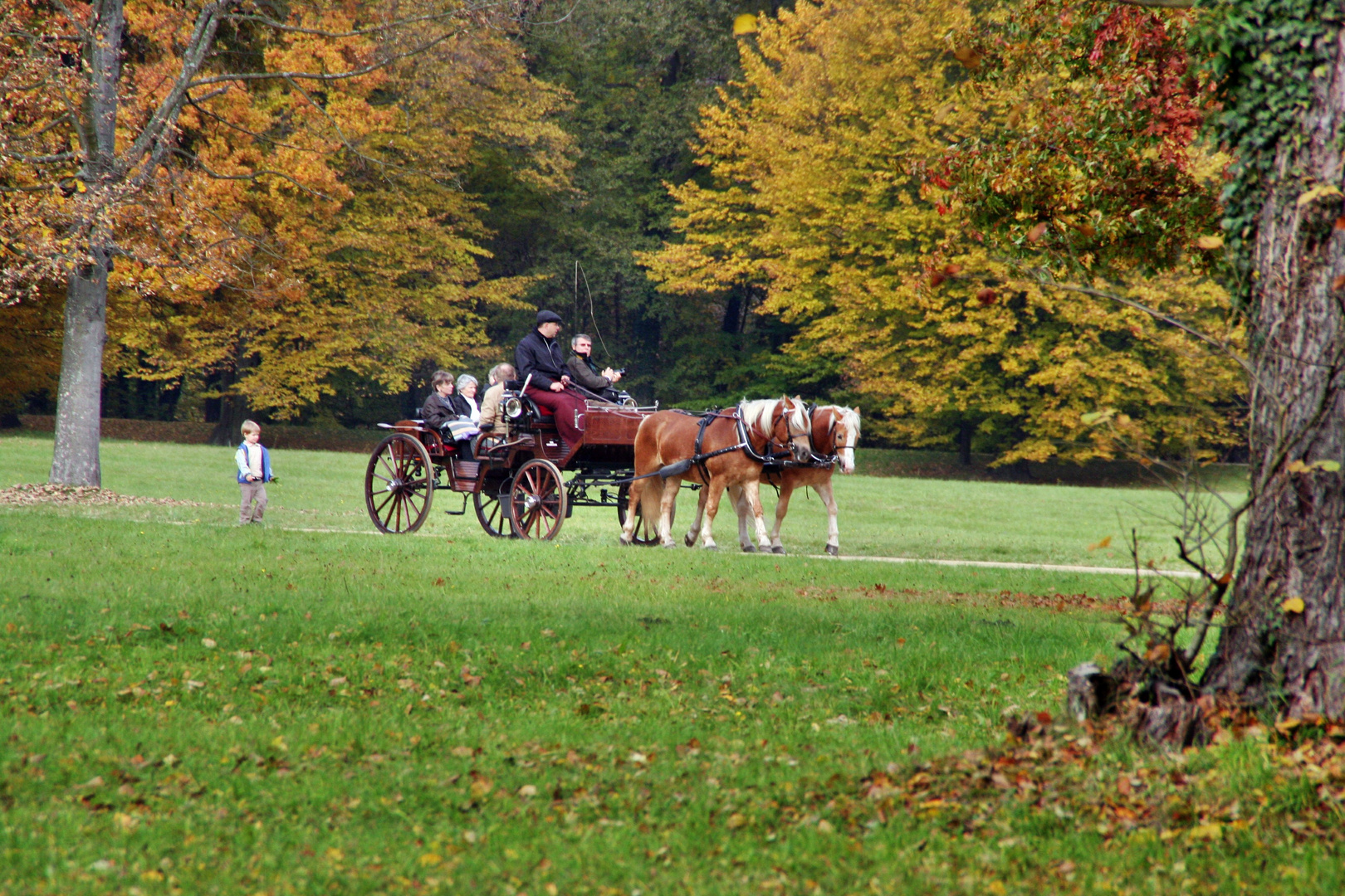 Kutschfahrt durch den Pücklerpark Bad Muskau