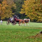 Kutschfahrt durch den Pücklerpark Bad Muskau