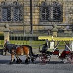 Kutschfahrt durch die Barockstadt Dresden