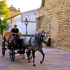 Kutschfahrt durch Jerez de la Frontera