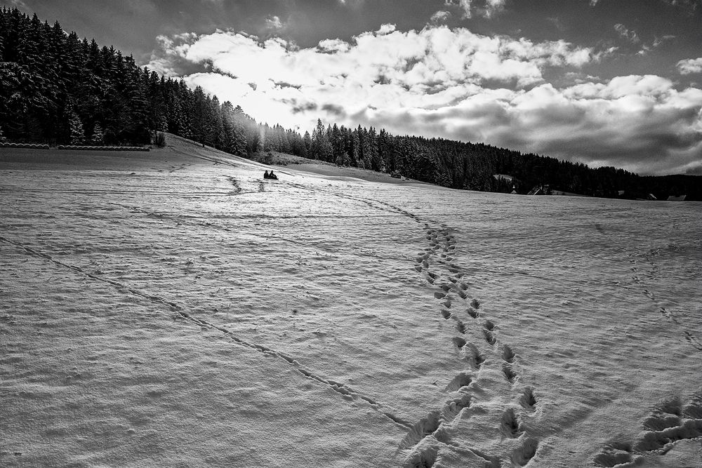 Kutschfahrt Hinterzarten im Schnee