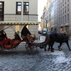 Kutschfahrt im Winter