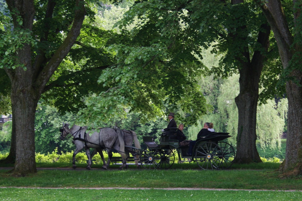 Kutschfahrt in Baden-Baden