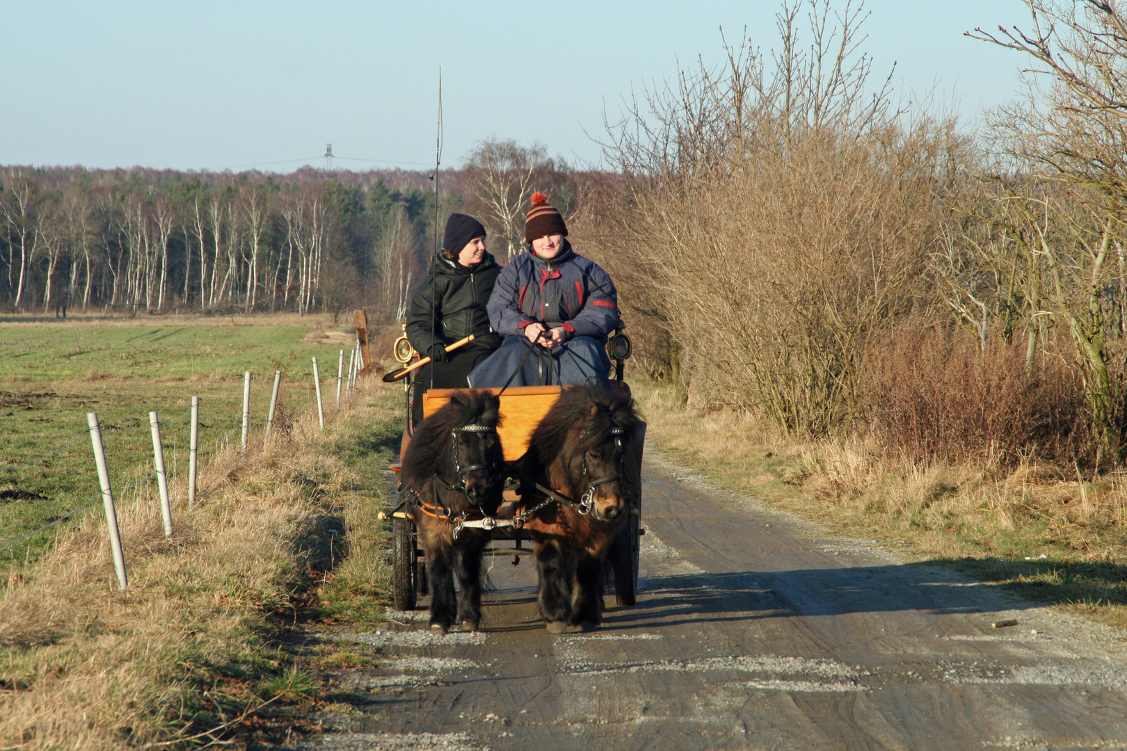 Kutschfahrt in den Frühling