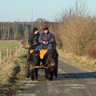 Kutschfahrt in den Frühling