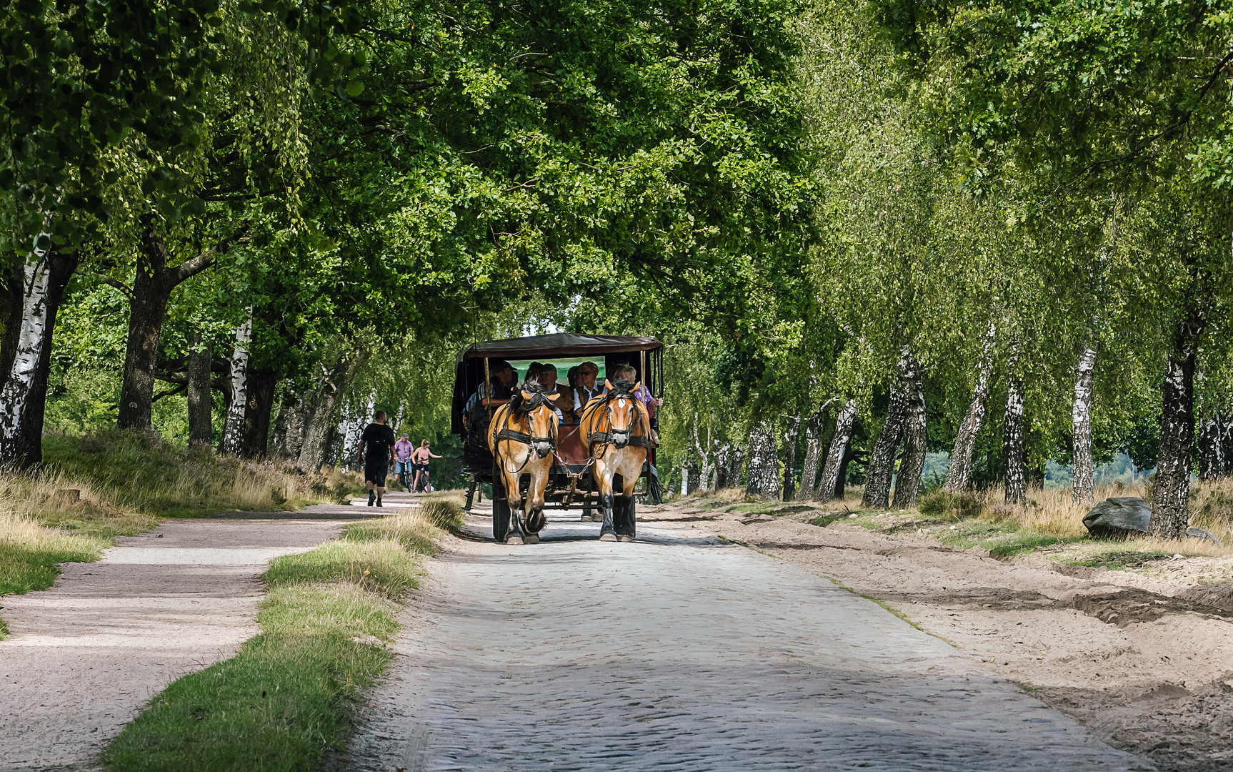 Kutschfahrt in der Lüneburger Heide